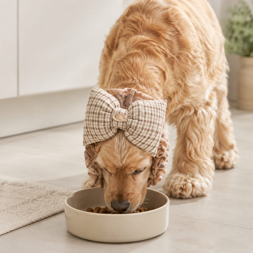 Coming Soon - Dog Ear Holder Band